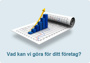 Vad kan vi göra för ditt företag?